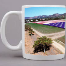 Bodger Floral Flag Fine Art Print Mug